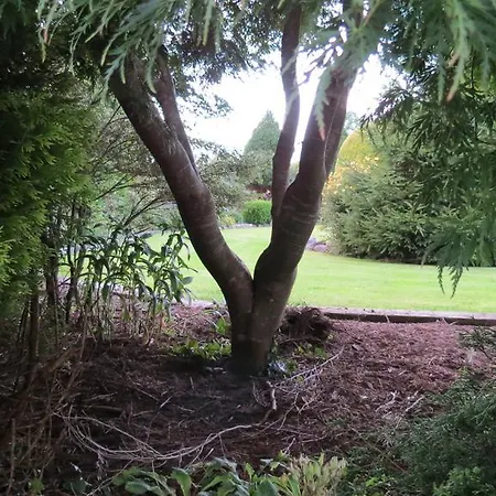 Rosewood Waterford Ireland